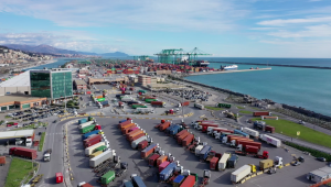 COVID 19 Best Practices Container Terminal